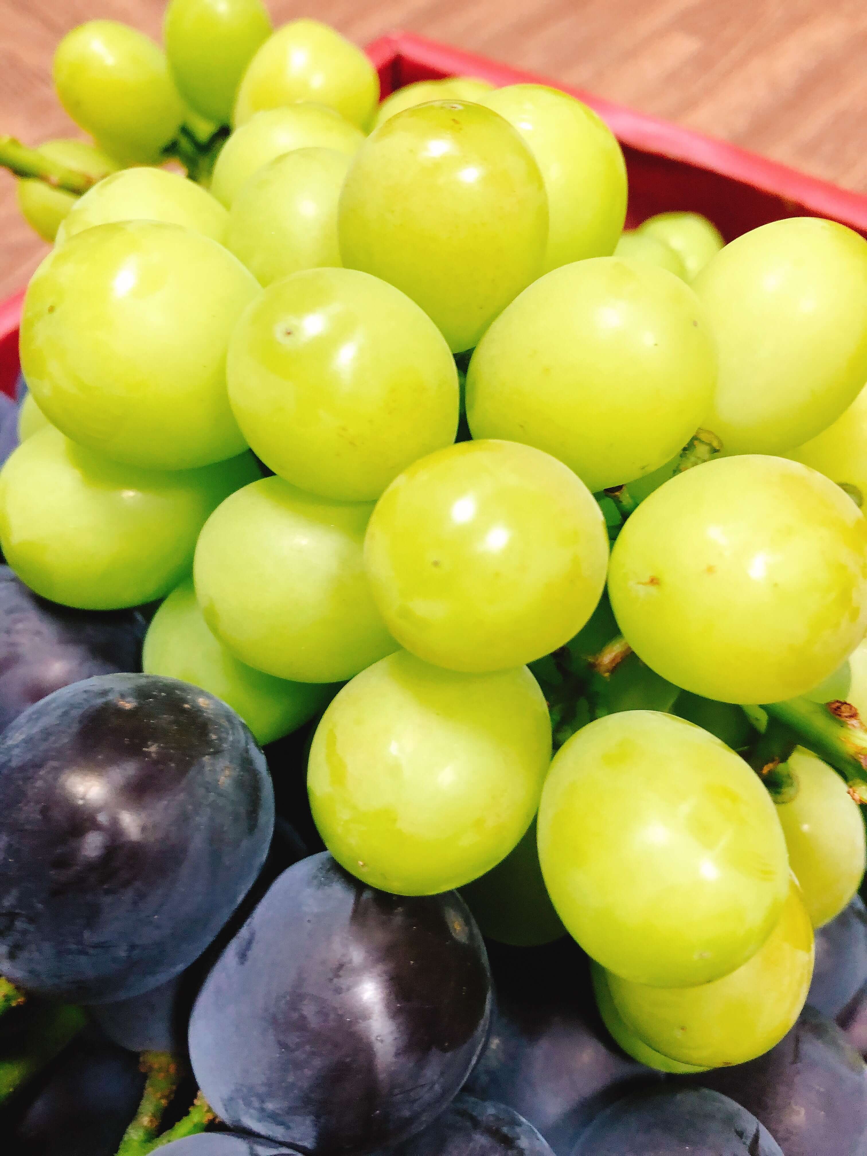 絶対食べてほしい！シャインマスカットの季節到来！｜アラフォーワーママのブログ